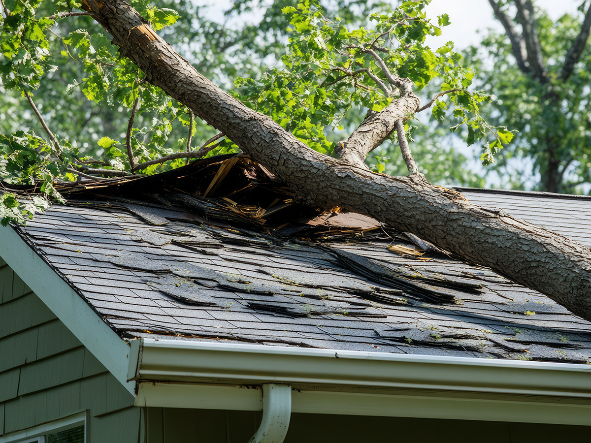 Storm damage